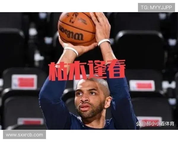 2024年老鹰队引入关键替补提升轮换深度增强比赛韧性